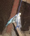 /album/fotogaleria-inicio/img-2904-jpg/