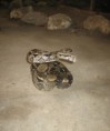 /album/fotogaleria-inicio/img-2929-jpg2/