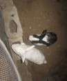 /album/fotogaleria-inicio/img-2915-jpg1/